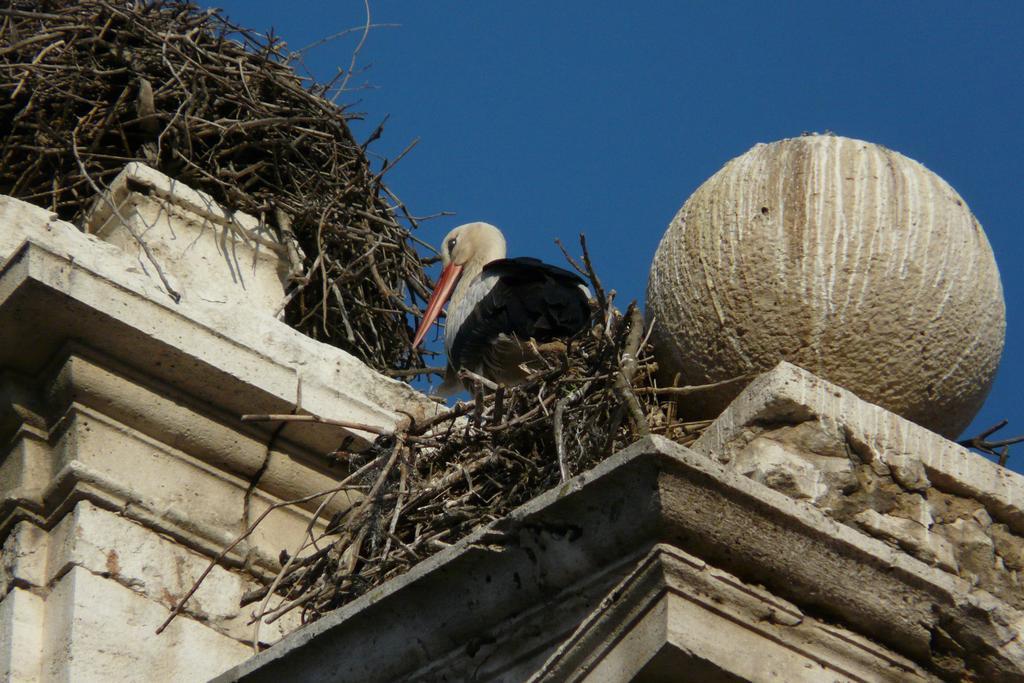 Hotel Ciudad De Alcala Alcalá de Henares Zewnętrze zdjęcie